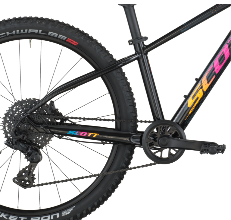 Capture d'écran 2026-02-25 114237